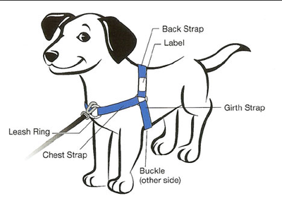Harness for mini-size dogs (sense-ation® brand)