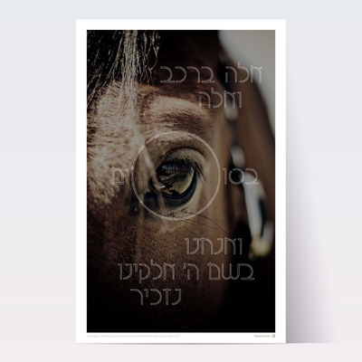 Some trust in chariots poster