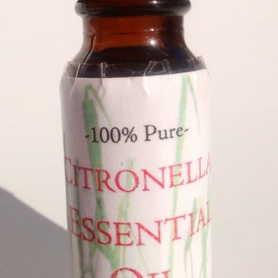 100% pure citronella essential oil