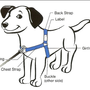 harness for x-small dogs (SENSE-ation® brand)-1