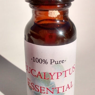 100% pure eucalyptus essential oil