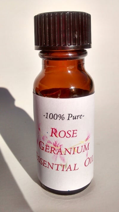100% Pure Rose Geranium Essential Oil
