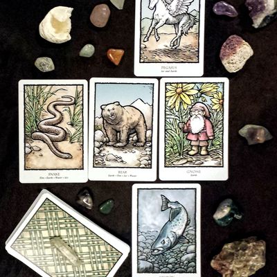 Explorer  - see what areas of life you can explore. great for students & adventurers. intuitive psychic tarot oracle card divination reading