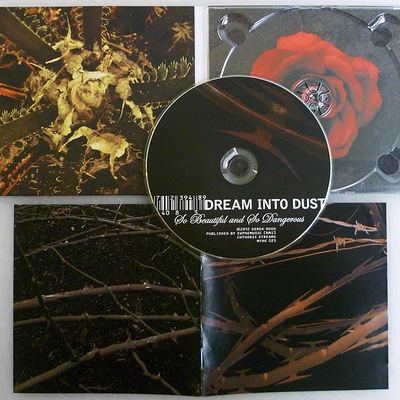 Dream into dust : <br/>so beautiful and <br/>so dangerous
