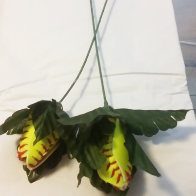Softball roses