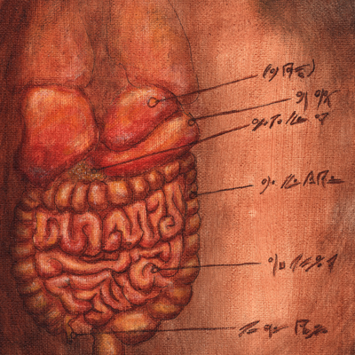 Anatomy 101 - plate 67 - Thumbnail 5