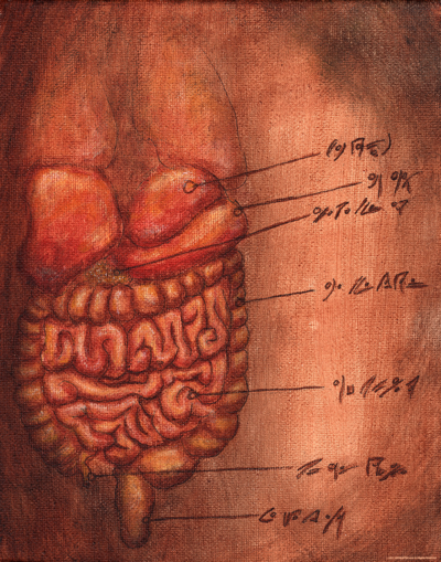 Anatomy 101 - Plate 67
