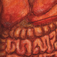 Anatomy 101 - Plate 67 - Thumbnail 1