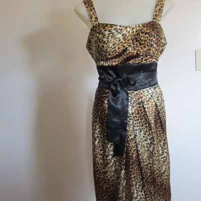 Leopard print dress 