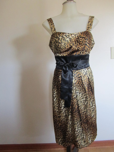 Leopard Print Dress 