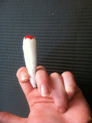 'The Joint' custom catnip toy!