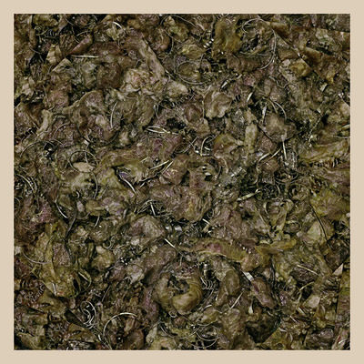 Piss vortex future cancer [12" ep]