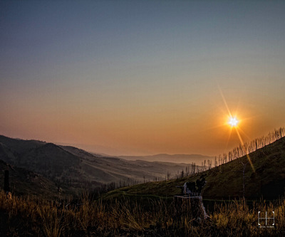 Sunrise Through Smoke