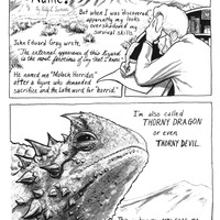 Awesome 'Possum, Volume 2 - Thumbnail 1