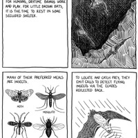 Awesome 'Possum, Volume 2 - Thumbnail 4