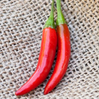 Kimchi traditional korean variety chile heirloom pepper premium seed packet