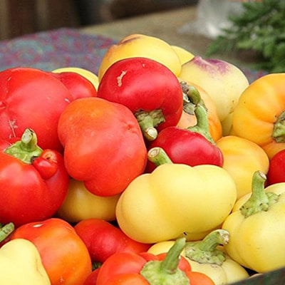 Alma paprika sweet pepper premium seed packet