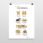 CSS Corgis Poster-1