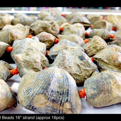 Fossil beads 16" strand