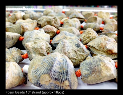 Fossil Beads 16" strand