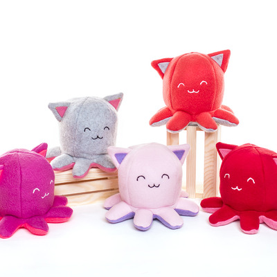 Taneko: warm & fizzy