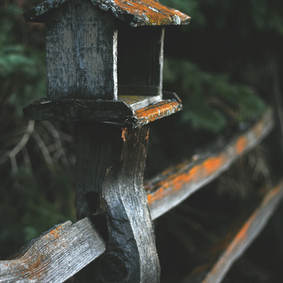 Birdhouse