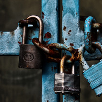 Locks of Love