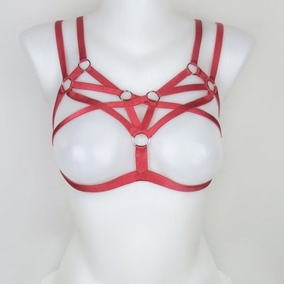 Red swan harness