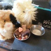 petite pet sets (choose Horse, Cat, Dog) - Thumbnail 3