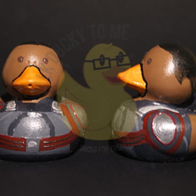 The falcon duck