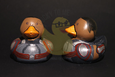 The Falcon Duck