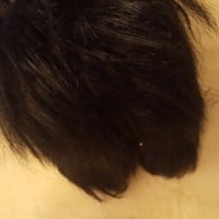 MANOLO BLAHNIK Black Fur Boots - Thumbnail 2