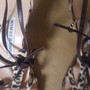 MANOLO BLAHNIK Animal Print Pumps-1