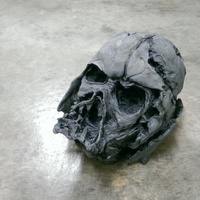 HSIN HO - Thumbnail 1