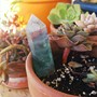 Fluorite Wand -1