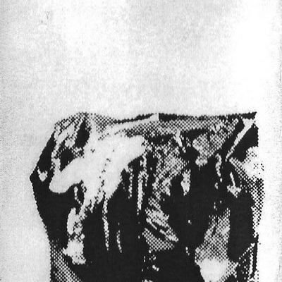 Filthy turd 'forty six in use louise' c-40 - Thumbnail 3