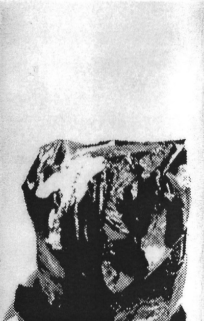 Filthy Turd 'Forty Six In Use Louise' C-40