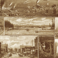 Olympia, Washington in 1903 - Bird's Eye View, Aerial map, Panorama, Vintage, Antique map, Reproduction, Giclée, Fine Art, Wall Art, History - Thumbnail 1