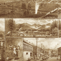 Olympia, Washington in 1903 - Bird's Eye View, Aerial map, Panorama, Vintage, Antique map, Reproduction, Giclée, Fine Art, Wall Art, History - Thumbnail 2