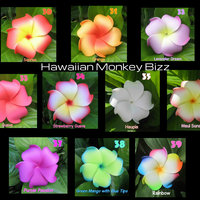 "CURLY PLUMERIA" Foam Hair Picks or Clips  (Your Choice of 10)  . . . - Thumbnail 3