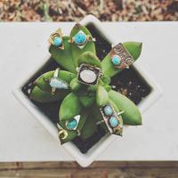 Crescent Shield - Thumbnail 4