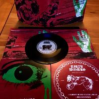 DIRTY WOMBS - WRECKED YOUTH (LIMITED ED) - Thumbnail 2