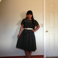 Polk-a-Dots - Thumbnail 4