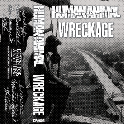 Split with wreckage cassette - Thumbnail 4