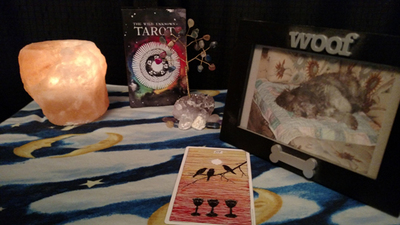 The Person My Pet Thinks I am