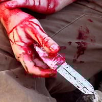 Blood Desert: War is Hell Edition VHS - Thumbnail 2