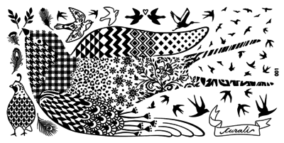 Curali- 001 Beautiful Bird