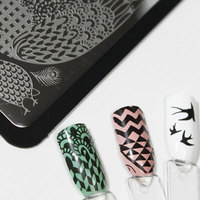 Curali- 001 Beautiful Bird - Thumbnail 2