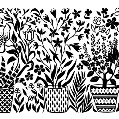 Curali- 002 botanical - Thumbnail 1