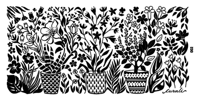 Curali- 002 Botanical